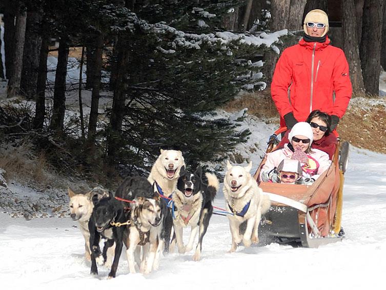 Die Aktivität Schlittenhunde ist mit der ganzen Familie zu erleben