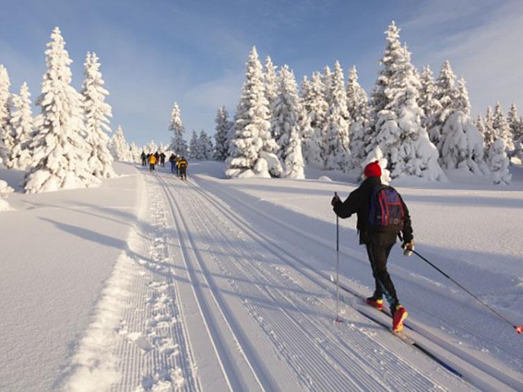 L’activité ski de fond 