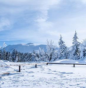 Vermietung von Stellplätzen für Zelte, Wohnwagen und Wohnmobile im Winter in der Cerdanya, auf dem Campingplatz Ilisa